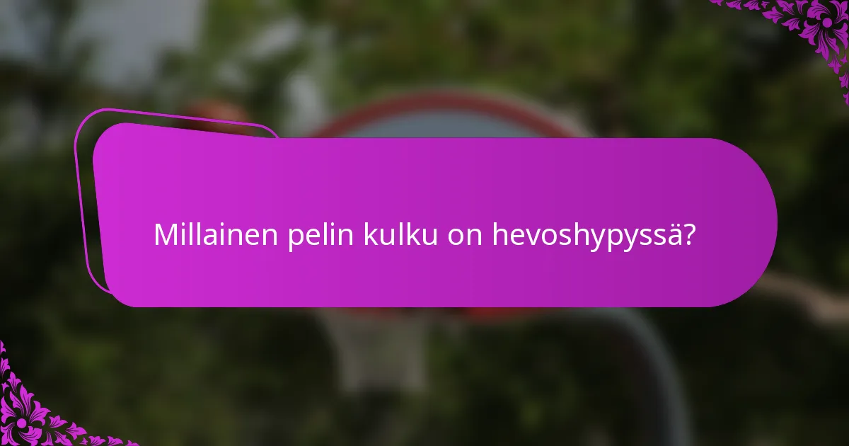Millainen pelin kulku on hevoshypyssä?
